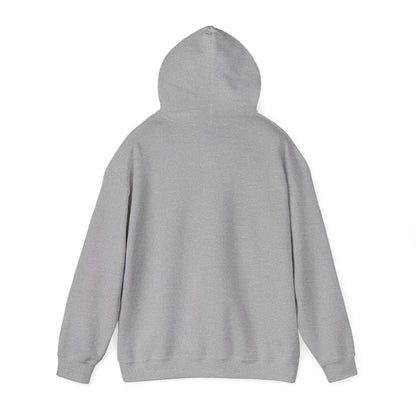 Knight & Falcon - Medieval Unisex Hoodie