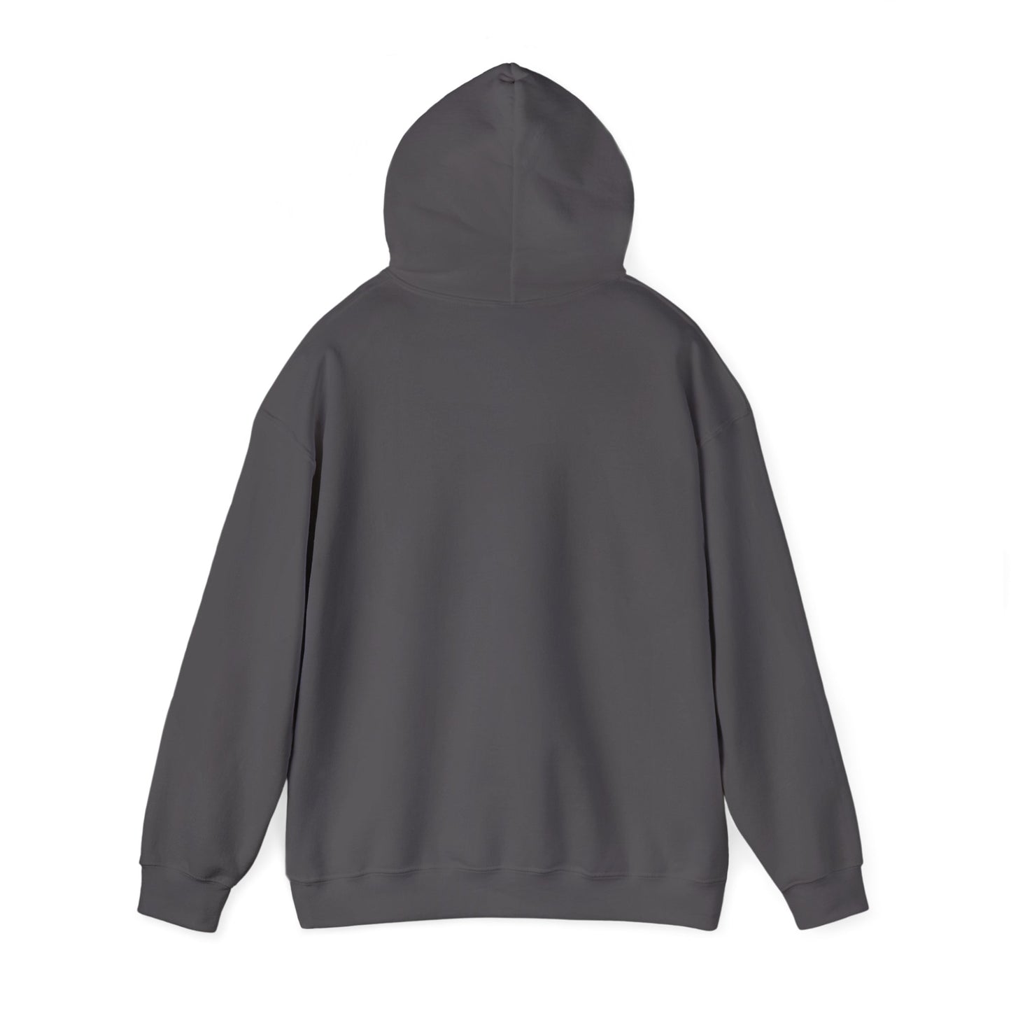 Knight & Falcon - Medieval Unisex Hoodie