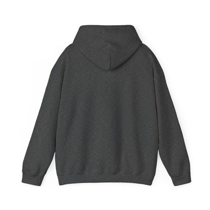 Knight & Falcon - Medieval Unisex Hoodie